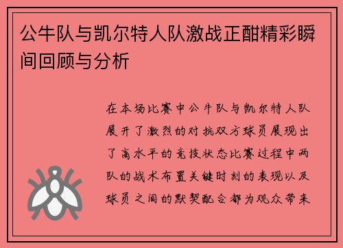 公牛队与凯尔特人队激战正酣精彩瞬间回顾与分析
